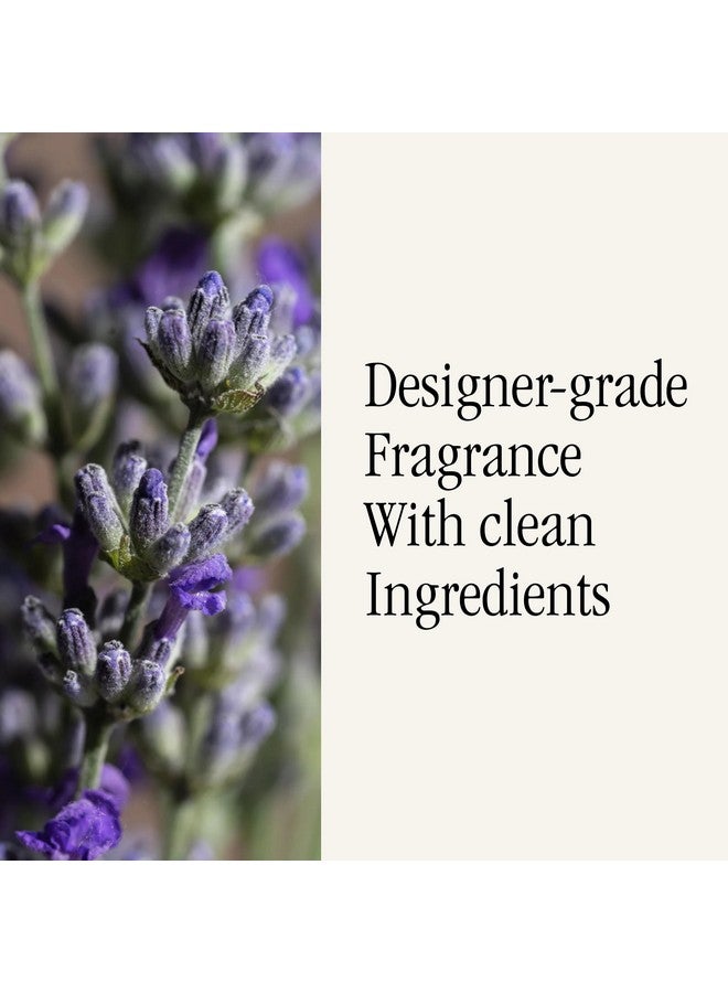 Pura Pura Smart Home Air Diffuser Fragrance - Smart Home Scent Refill - Up to 120-Hours of Premium Fragrance per Refill - Clean Diffuser for Office & Apartment - 2 Pack, Lavender Fields  - Image 3