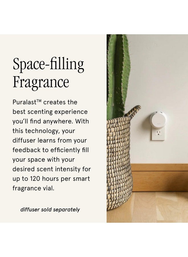 Pura Pura Smart Home Air Diffuser Fragrance - Smart Home Scent Refill - Up to 120-Hours of Premium Fragrance per Refill - Clean Diffuser for Office & Apartment - 2 Pack, Lavender Fields  - Image 2