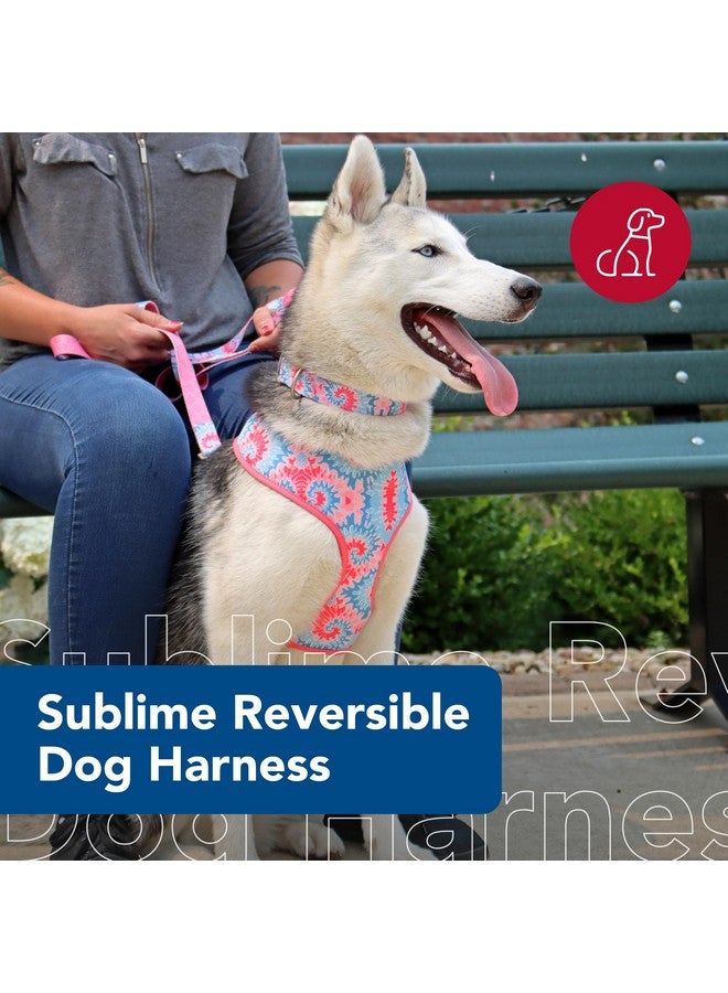 كوستال حزام كلب قابل للعكس من Coastal Pet Sublime - مقاس قابل للتعديل مع سهولة الاستخدام فوق الرأس - متانة استثنائية - صبغ ربطة عنق وردية مع أسهم وردية، متوسط - 3/4 بوصة × 20 بوصة - 29 بوصة - Image 2