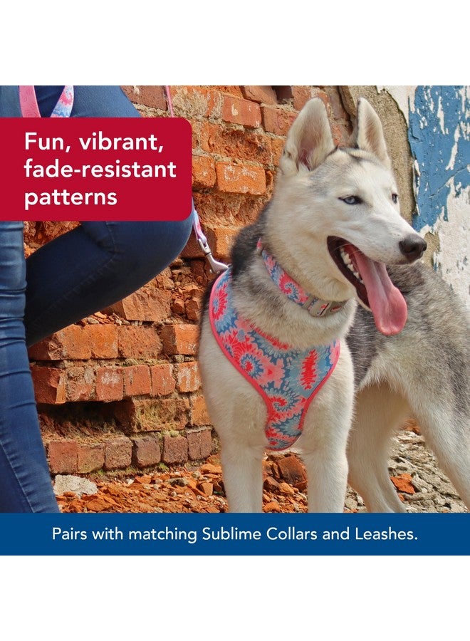 كوستال حزام كلب قابل للعكس من Coastal Pet Sublime - مقاس قابل للتعديل مع سهولة الاستخدام فوق الرأس - متانة استثنائية - صبغ ربطة عنق وردية مع أسهم وردية، متوسط - 3/4 بوصة × 20 بوصة - 29 بوصة - Image 3