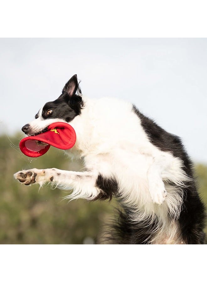 NERF DOG Nylon Flyer Dog Toy, Flying Disc, Lightweight, Durable and Water Resistant, Great for Beach and Pool, 9 inch diameter, for Medium/Large Breeds, Single Unit, Red - Image 4