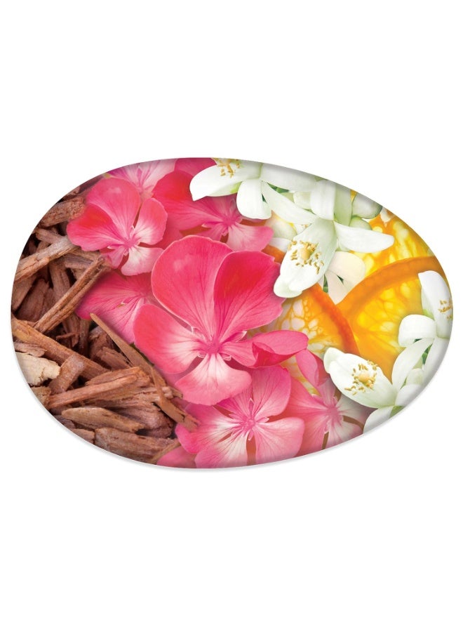 Caress Beauty Bar Daily Silk 4 Oz 2 Bar - Image 5