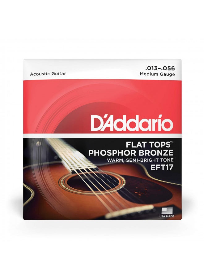 D'Addario Guitar Strings - Acoustic Guitar Strings - Flat Tops Phosphor Bronze - For 6 String Guitar - Warm, Semi-Bright Tone - EFT17 - Medium, 13-56