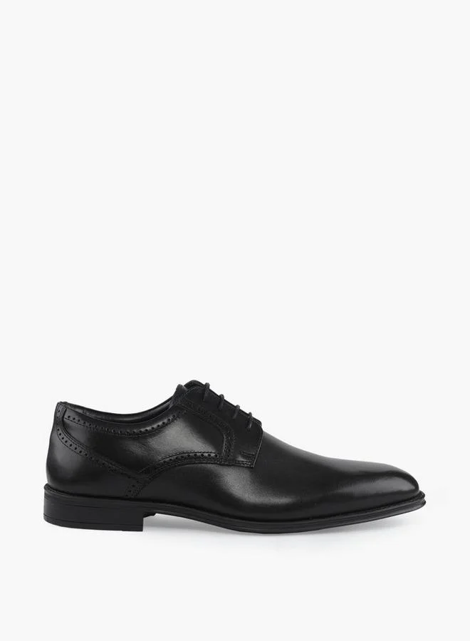 Duchini BLACK Men Leather Lace-Up Derby Shoes for Men | Best Price UAE