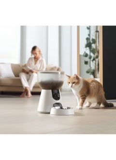 Petwant 4L Smart Pet Feeder - Stainless Steel Bowls, 5G WiFi, HD Camera, and Eco-Friendly Design - pzsku/Z27990BC049F3E955C2D0Z/45/_/1737371191/2cbc342d-7304-4bfe-b692-a959b38dec9e