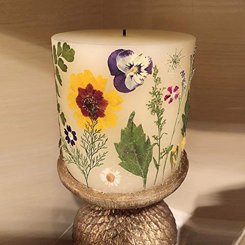 AHTONG 17 Types 48PCS Real Dried Pressed Flowers Leaf Plant Herbarium for DIY Resin Jewelry Making Floral Decors(Colorful) - Image 4