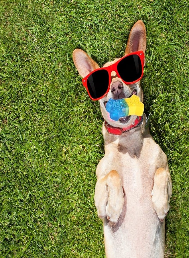 DOGTOWN ألعاب مضغ للكلاب من دوغتاون، عضاضة تبريد، ألعاب متينة للكلاب والجراء، عظمة - Image 5
