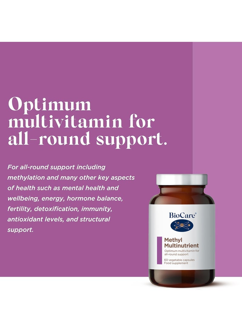 Methyl Multinutrient  Optimum Multivitamin for all-round Support, 60 Vegetable Capsules Food Supplement