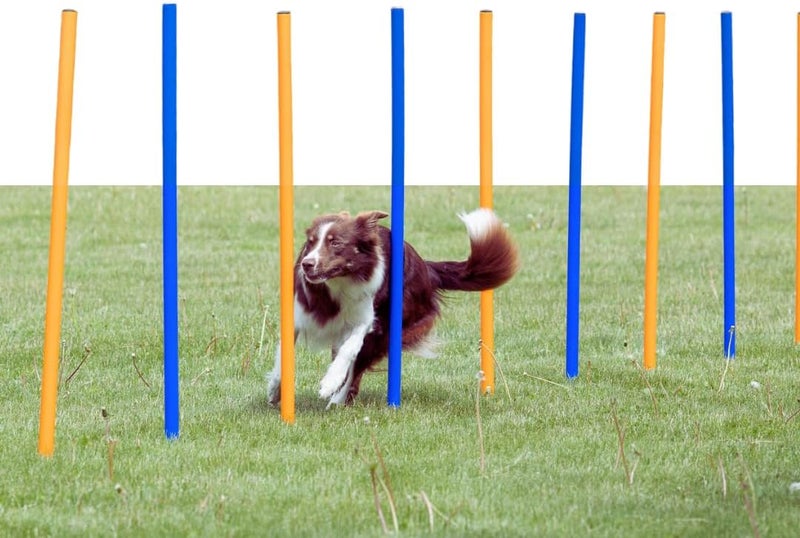 TRIXIE Dog Agility Slalom Course  12 Adjustable Weave Poles Backyard Set  Portable Training Equipment with Carrying Bag  Training Guide  for All Breeds - Image 1