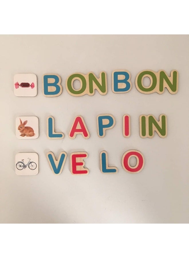 مجموعة حروف مغناطيسية - سيلين ألفاريز - القراءات الطبيعية - Image 3