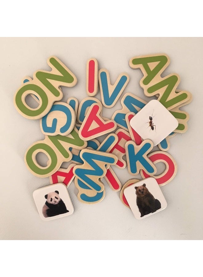 مجموعة حروف مغناطيسية - سيلين ألفاريز - القراءات الطبيعية - Image 4