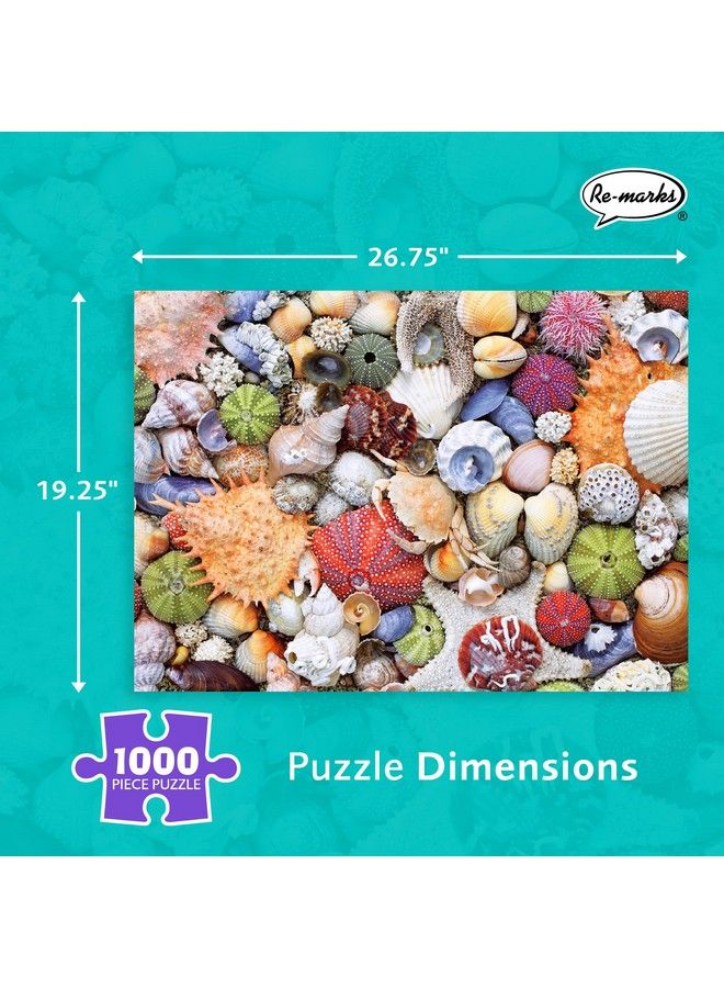 Re-Marks Seashore 1000 Piece Puzzle Artistic Jigsaw Puzzle For All Ages - Image 4