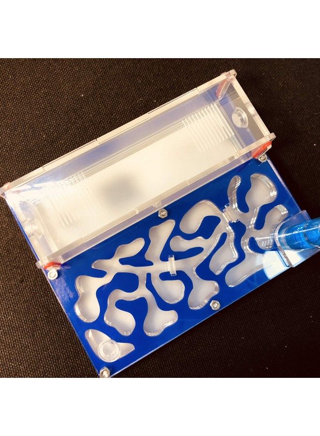 Ant 150Mmx110Mm Test Tube Moisture Big Space Nest Farm Acrylic Insect Villa House Ecological Workshop (Blue) - Image 4