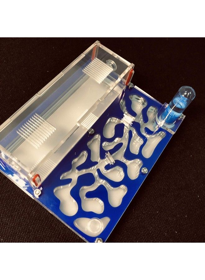 Ant 150Mmx110Mm Test Tube Moisture Big Space Nest Farm Acrylic Insect Villa House Ecological Workshop (Blue) - Image 3