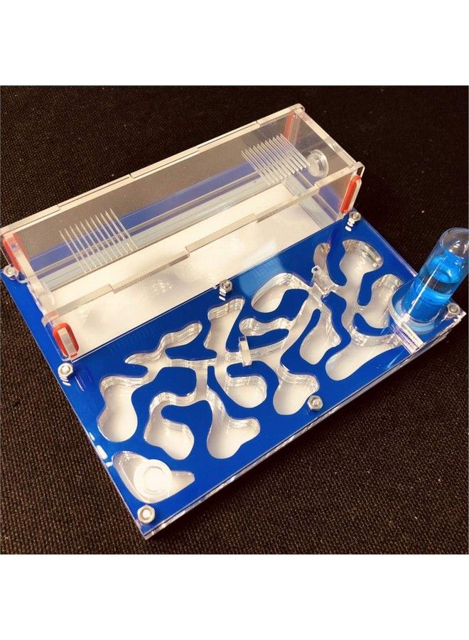 Ant 150Mmx110Mm Test Tube Moisture Big Space Nest Farm Acrylic Insect Villa House Ecological Workshop (Blue) - Image 1