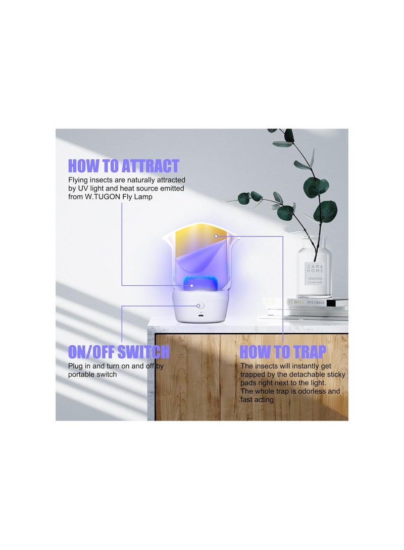 كابتن تيك Rechargeable Indoor Flying Insect Traps - 2 Pack Fruit Fly and Gnat Traps for Home, Attracts Mosquitoes, Ideal for Kitchen and Dining Room Use. - Image 4