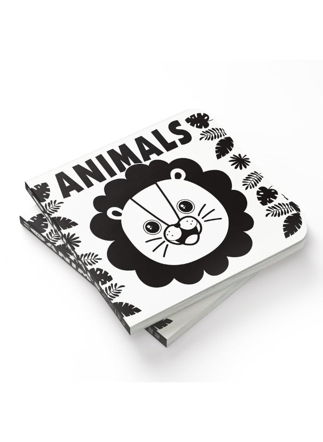 null - Baby’s First High-Contrast Books: Boxed Set (High Contrast Board Books) - Image 1
