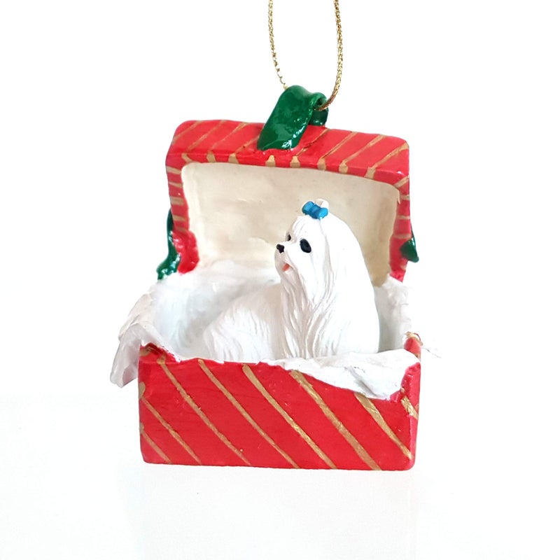 MALTESE Dog sits in a Red Gift Box Christmas Ornament New RGBD34