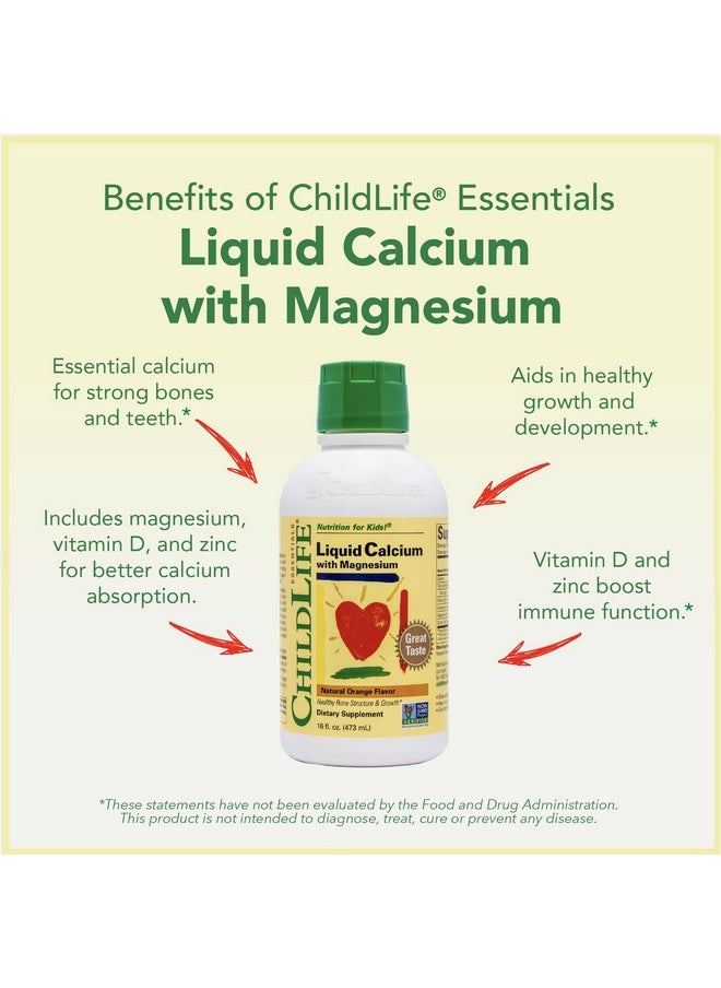 CHILDLIFE ESSENTIALS - ChildLife Essentials Liquid Calcium Supplement for Kids - Baby Calcium with Magnesium, Zinc, and Vitamin D3 - Orange Flavor, 16 fl oz (2 Pack) - Image 1