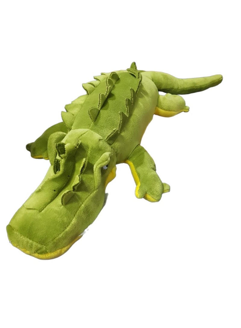 Crocodile Dumbo Plush Toy  - Image 1