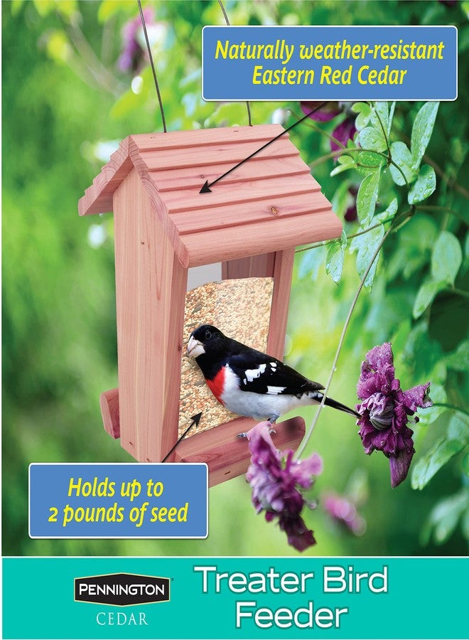 Pennington 100513431 Cedar Treater Bird Feeder, 2 LBS Capacity - Image 3