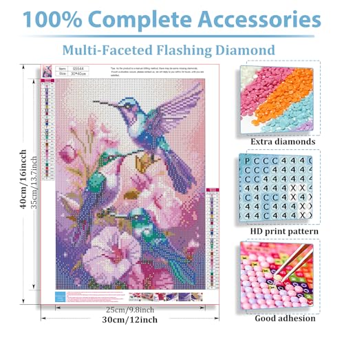 hkejoi Hummingbird Diamond Art Kits for Adults, Hummingbird Diamond Painting, 5D Round Full Drill Gem Art Kits DIY Crafts for Home Decor Gift 12x16 Inch - Image 3