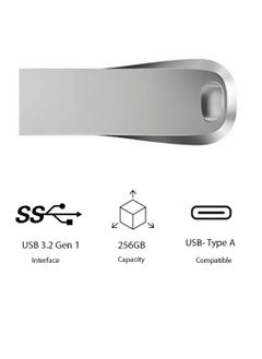 ماركة غير محددة محرك فلاش USB، محرك أقراص USB خفيف الوزن ومحمول، جهاز تخزين بيانات سريع لنقل البيانات، محرك فلاش قوي ومتين لأجهزة الكمبيوتر المحمول التي تعمل بنظام Windows، (قطعة واحدة، 256 جيجابايت)  - Image 1