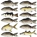 Norcoin 12 Pcs Realistic Fake Fish Toy Artificial Lifelike Sea Fishing Model Props Set for Market Display Home Kitchen Decor Party Photography Props Simulated Fish Ornaments 6 Styles - Image 2