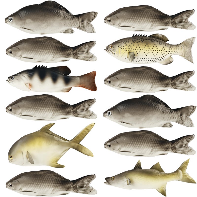 Norcoin 12 Pcs Realistic Fake Fish Toy Artificial Lifelike Sea Fishing Model Props Set for Market Display Home Kitchen Decor Party Photography Props Simulated Fish Ornaments 6 Styles - Image 3