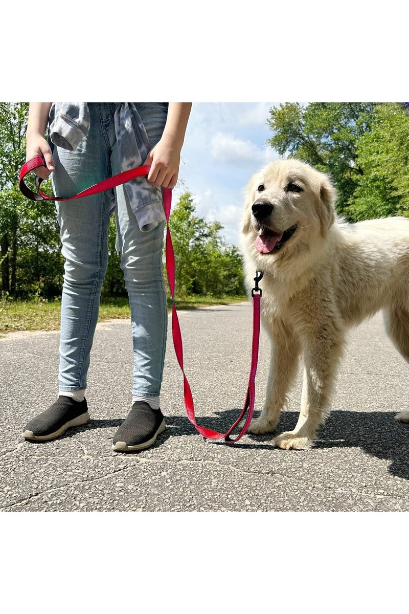 Double Handle Heavy Duty Dog Leash for Medium and Large Dogs, 25mm x 1.5m, for Medium and large dogs,Red - Image 4