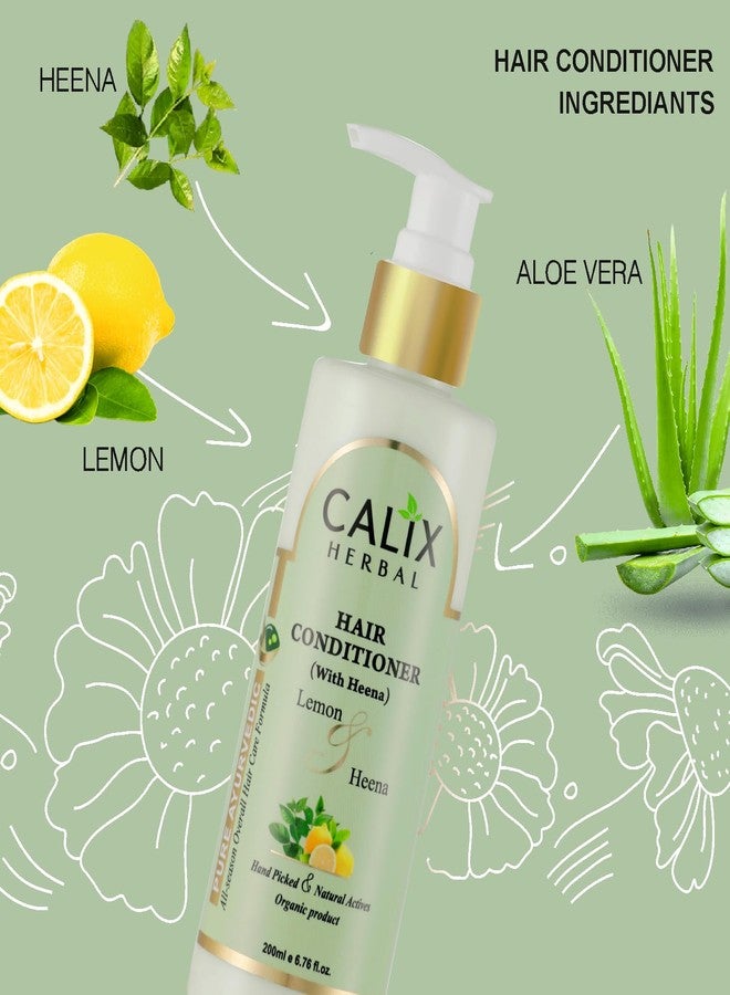 كلاليكس هيربال شامبو كاليكس هيربال العضوي والأيورفيدي بخلاصة الصبار المضاد للقشرة 200 مل + حناء مهندي 100 جم + بلسم للشعر (مع الحناء) 200 مل - مجموعة متكاملة للعناية بالشعر للرجال والنساء وجميع أنواع الشعر - Image 4