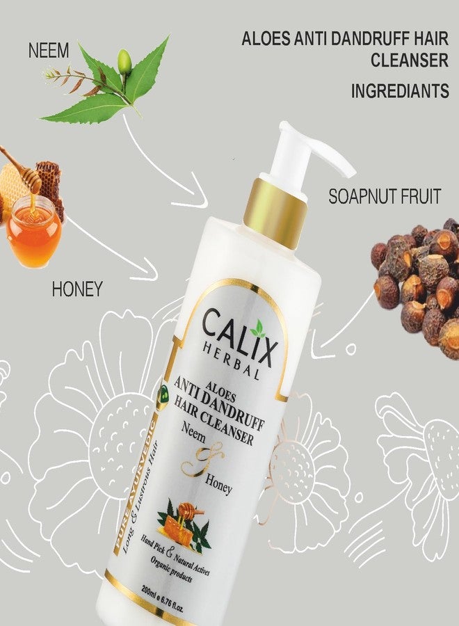 كلاليكس هيربال شامبو كاليكس هيربال العضوي والأيورفيدي بخلاصة الصبار المضاد للقشرة 200 مل + حناء مهندي 100 جم + بلسم للشعر (مع الحناء) 200 مل - مجموعة متكاملة للعناية بالشعر للرجال والنساء وجميع أنواع الشعر - Image 3
