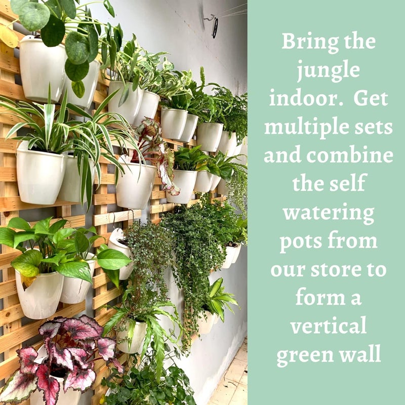 ShopLaLa Wooden Wall Planter - 2 Pack Wall Hanging Planters for Indoor Plants Ladder Wall Mount Natural Wood Holder Flower Pots Vertical Living Balcony Unique Large Green Plant Decor 23.6" (60cm) - Image 3