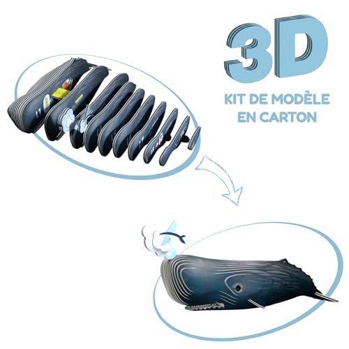 EUGY 092 Sperm Whale EcoFriendly 3D Paper Craft Puzzle - Image 5