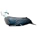 EUGY 092 Sperm Whale EcoFriendly 3D Paper Craft Puzzle - Image 2