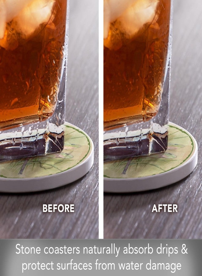 Counterart Thirstystone Dragonfly 4 Pack Absorbent Stone Coasters with Protective Cork Backing Manufactured in The USA Artistic Easily Wipes Clean - Image 3