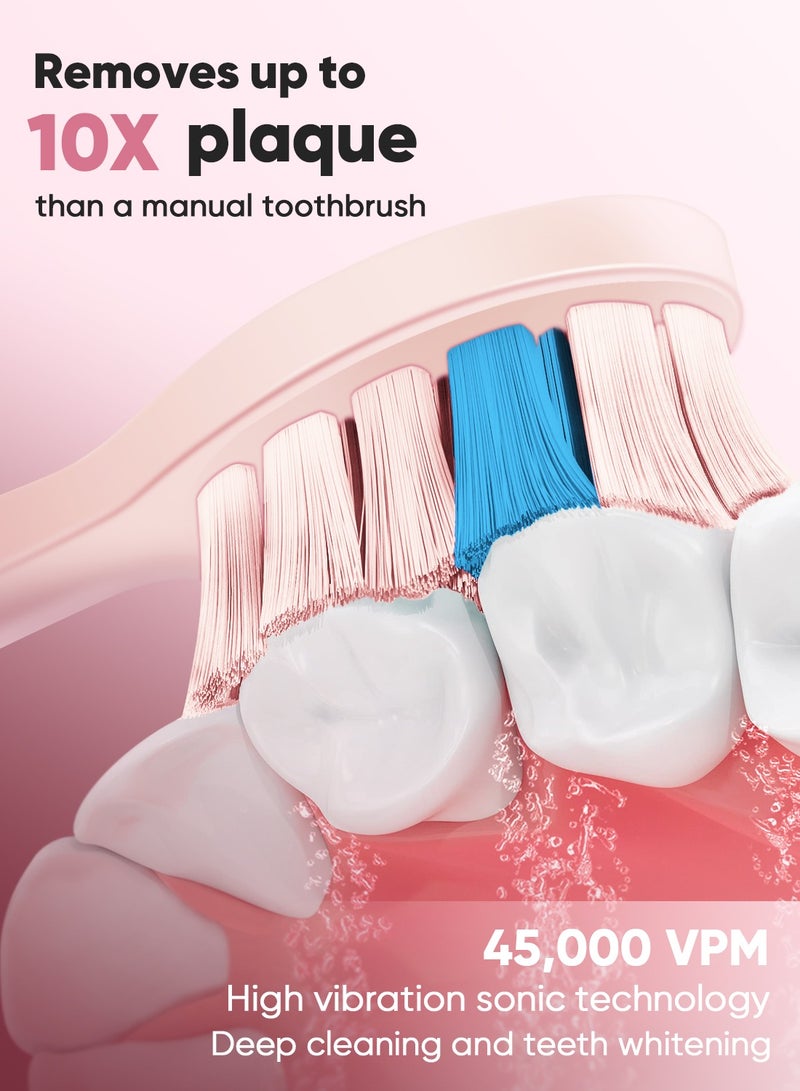 MySmile DY156 Electric Toothbrush for Adults, Rechargeable Sonic Battery Toothbrush Portable with 3 Brush Heads, 2 Mins 5 Modes Smart Timer, 45000VPM, One Charge for 60 Days (Pink, M) - Image 2