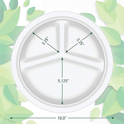 SANWALSA [10 inch, 3-Compartment, 50 Count, Round, White Disposable Bagasse Paper Plates | Eco-Friendly Sugarcane Plates for Wedding, Party, Picnic - Image 3