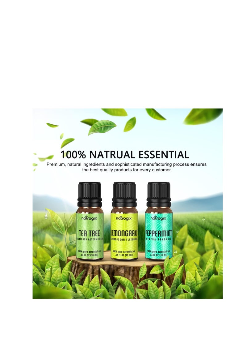 Natrogix - Greenlem Treasure Essential Oils - Top 9 Therapeutic Grade 100% Pure Essential Oil Set 9/10ml Tea Tree, Lavender, Eucalyptus, Frankincense, Lemongrass, Lemon, Rosemary, Orange, Peppermint - Image 1
