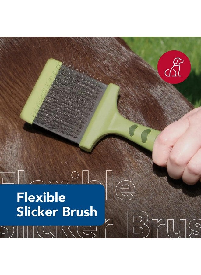 كوستال فرشاة ناعمة مرنة للكلاب من كوستال بيت سفاري - فرشاة للكلاب لتساقط الشعر - مشط وفرشاة للعناية بالشعر السفلي للحيوانات الأليفة الصغيرة والمتوسطة - صغيرة - Image 2