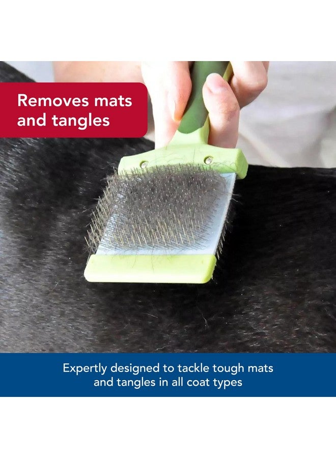 كوستال فرشاة ناعمة مرنة للكلاب من كوستال بيت سفاري - فرشاة للكلاب لتساقط الشعر - مشط وفرشاة للعناية بالشعر السفلي للحيوانات الأليفة الصغيرة والمتوسطة - صغيرة - Image 4