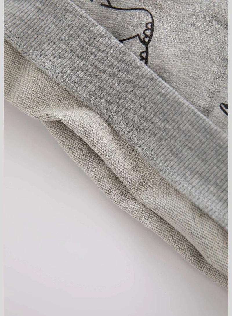 DeFacto BabyBoy Regular Fit Knitted Sweatshirt