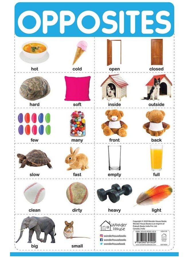 Opposites - My First Early Learning Wall Chart: For Preschool, Kindergarten, Nursery And Homeschooling (19 Inches X 29 Inches)
