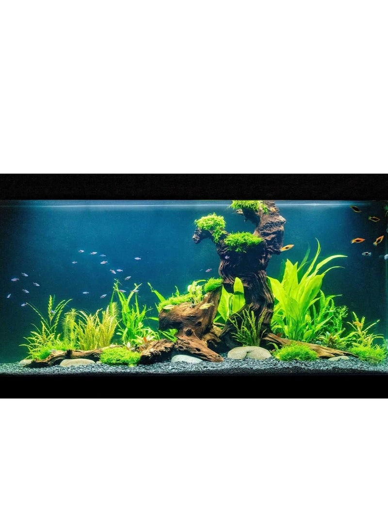 vsell24 حصى أحجار هندية رمادية طبيعية فائقة 8-12 مم لحوض السمك، رقائق حوض السمك، رمل، حصى، حصى زينة خارجية للحديقة، الحديقة، حوض السمك - Image 4