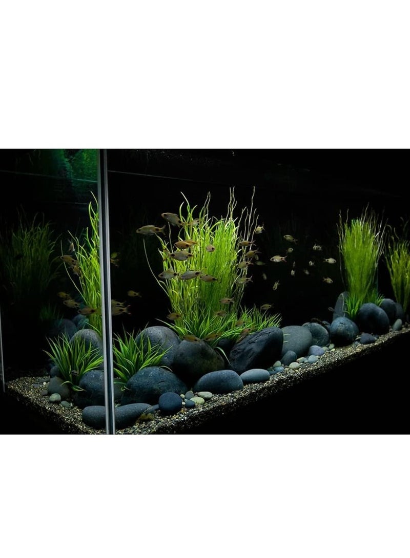 vsell24 حصى أحجار هندية رمادية طبيعية فائقة 8-12 مم لحوض السمك، رقائق حوض السمك، رمل، حصى، حصى زينة خارجية للحديقة، الحديقة، حوض السمك - Image 5