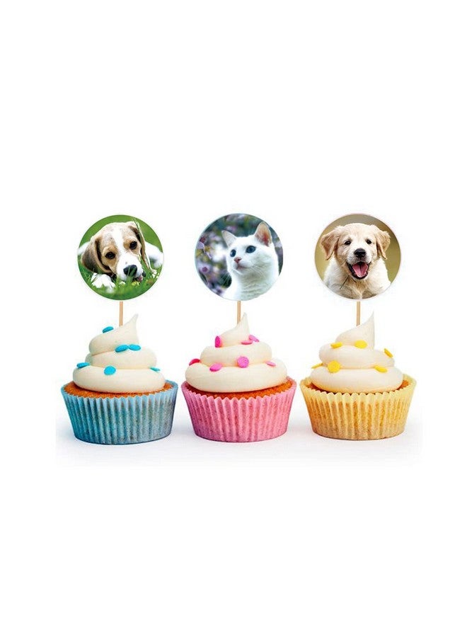 Hohamn Dog And Cat Stickers For Kids Teachers 1000 Pcs Dog Cat Design Stickers For Kids Birthday Party School Reward Giveaways - Image 5