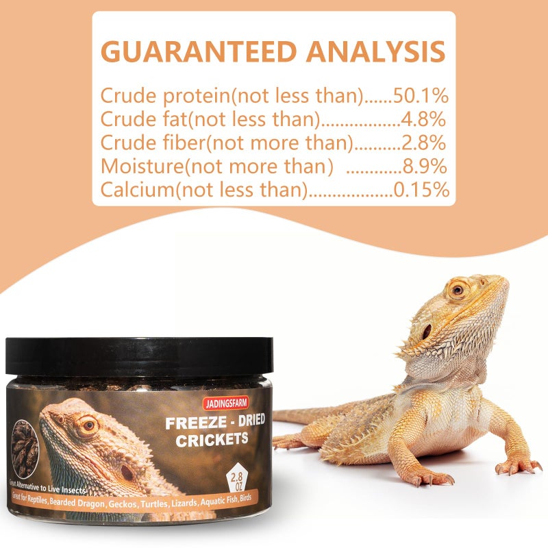 JADINGSFARM Freeze Dried Crickets - 2.8 Oz High Protein Freeze Dried Crickets, Food for Reptiles, Bearded Dragons, Lizards, Geckos, Birds, Fish,Hedgehogs, Bearded Dragon Food - Image 3
