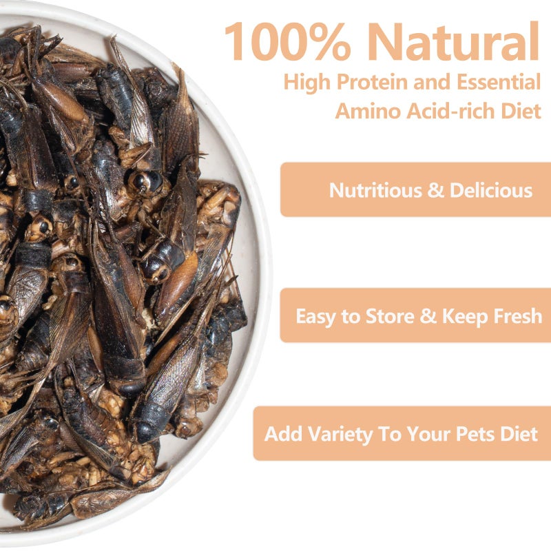 JADINGSFARM Freeze Dried Crickets - 2.8 Oz High Protein Freeze Dried Crickets, Food for Reptiles, Bearded Dragons, Lizards, Geckos, Birds, Fish,Hedgehogs, Bearded Dragon Food - Image 2
