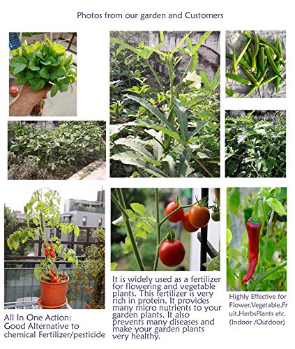 Bum Bum Bhole Extra Power Mustard Cake Powder Organic Fertilizer for Home Garden,Manure for Plants 1kg - Image 3