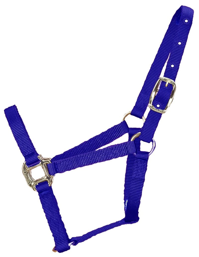 Hamilton 3/4-Inch Nylon Quality Horse Halter, Weanling or Large Pony, 200-300-Pound, Blue - Image 1